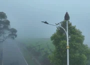 Miliki Teknologi Tinggi, Dishub Jabar Selesaikan Pemasangan Alat Penerangan Jalan di Tahun 2025 dan Luncurkan Tim Reaksi Cepat