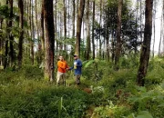 Menjaga Asa Flora Endemik Hutan Ciremai