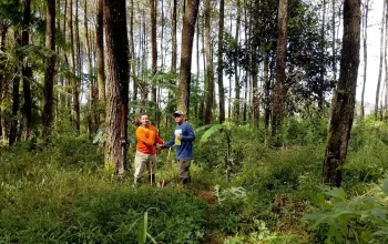 Menjaga Asa Flora Endemik Hutan Ciremai
